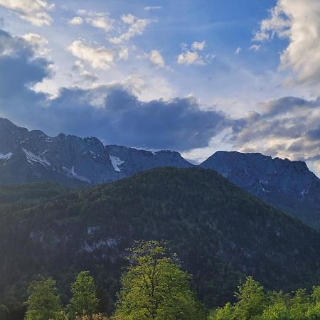 Apartment Bergblick Lohnerlehen 马克特谢伦贝格 外观 照片